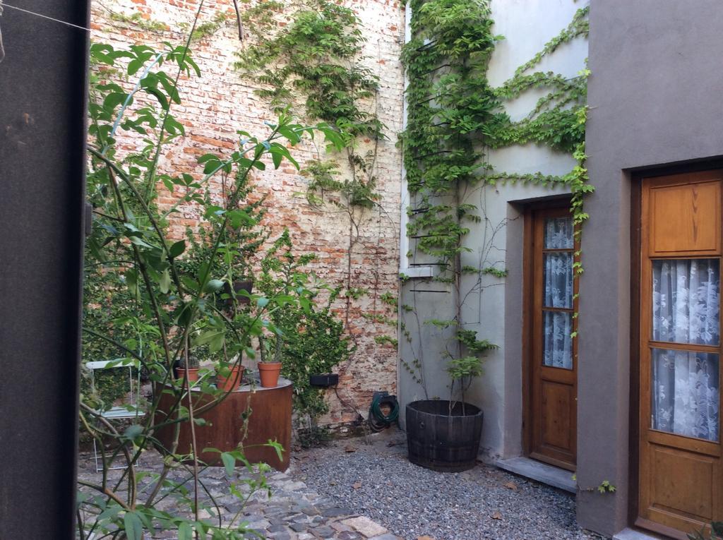Las Glicinas Boutique Apartments コロニア・デル・サクラメント エクステリア 写真